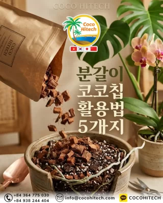 분갈이-코코칩-활용법