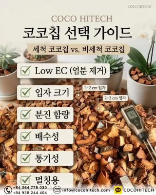 세척-코코칩