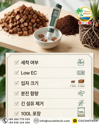세척-코코칩