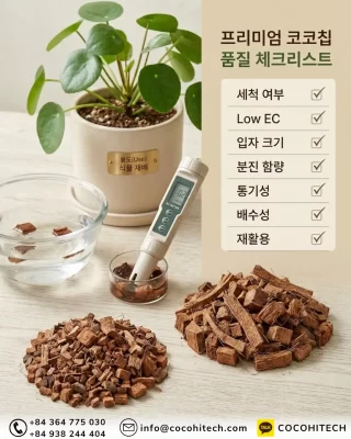 세척-코코칩