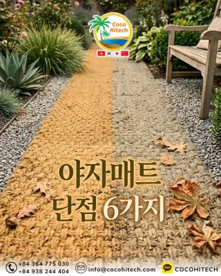 야자매트 단점 완벽 분석 6가지: 내구성부터 위생까지