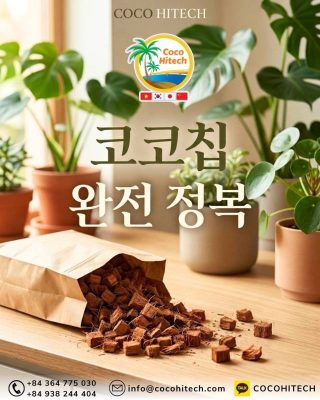 코코칩