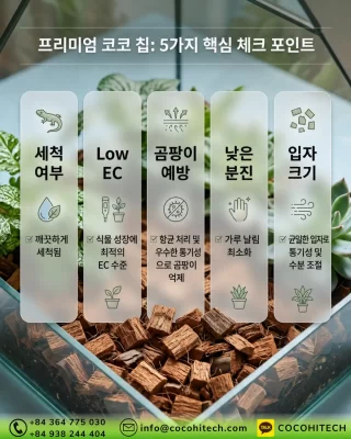 코코칩-곰팡이-예방