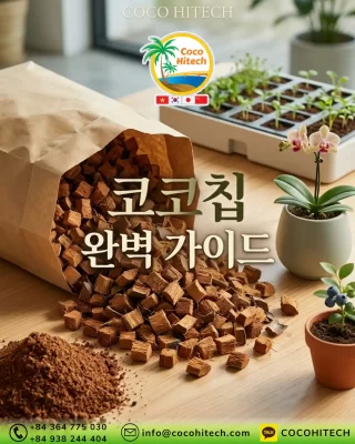 코코칩(Cocochips)이란?