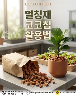 코코칩-활용법