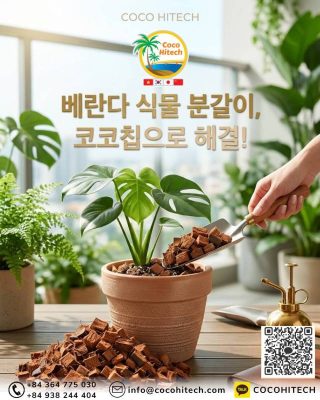 베란다 식물 분갈이, 코코칩으로 배수와 통기성 해결