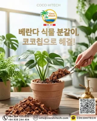베란다 식물 분갈이, 코코칩으로 배수와 통기성 해결