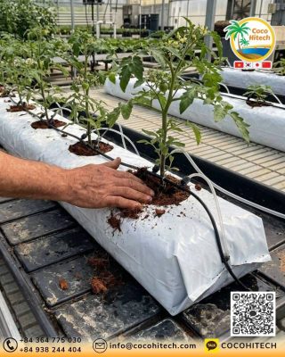 대표적인 AGRICOX 규격과 팽창 용량