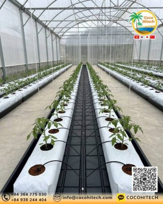 Unwashed HEC Grow Bag 사용 전 준비