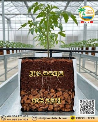 Cocopeat + Coco Chips 2층형