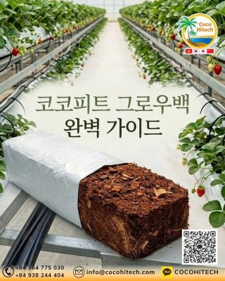 코코피트 그로우백이란? 스마트팜 재배배지 구조와 특징