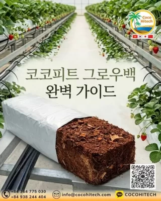 코코피트 그로우백이란? 스마트팜 재배배지 구조와 특징